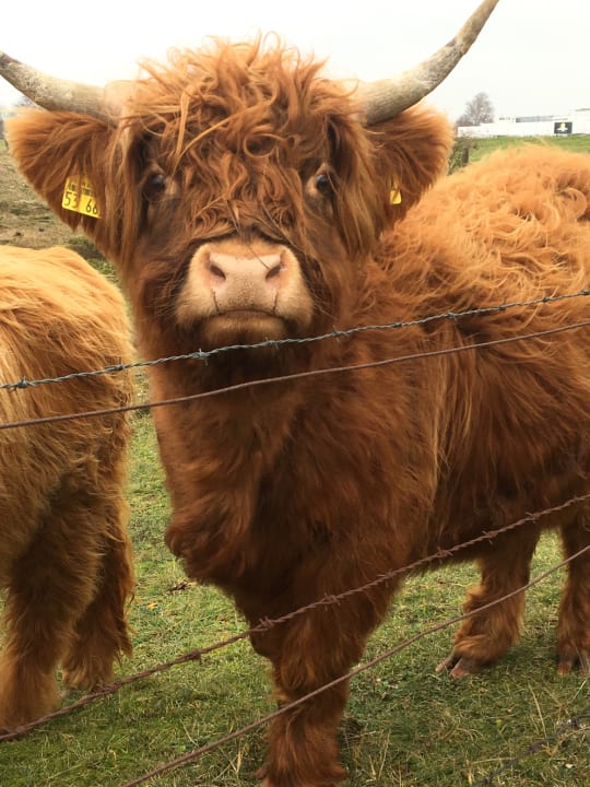 Sonstiges Ferienwohnungen Ferienpark Weissenhäuser Strand