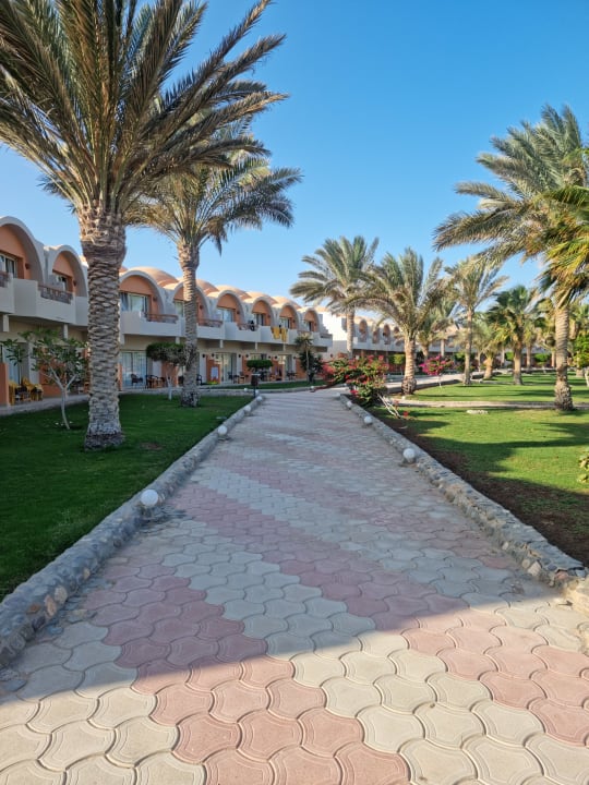 Gartenanlage Three Corners Sea Beach Resort