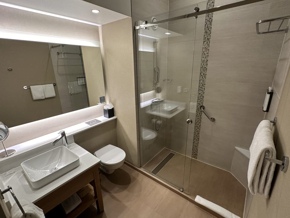 Zimmer Hyatt Place Amsterdam Airport