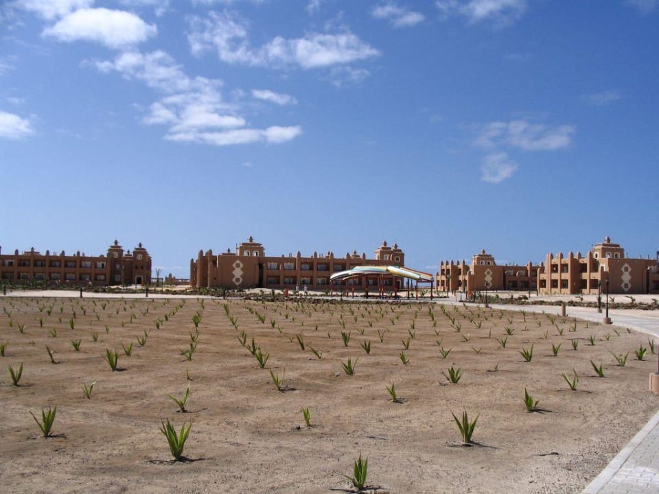 Blick zu den Häusern Hotel Riu Funana
