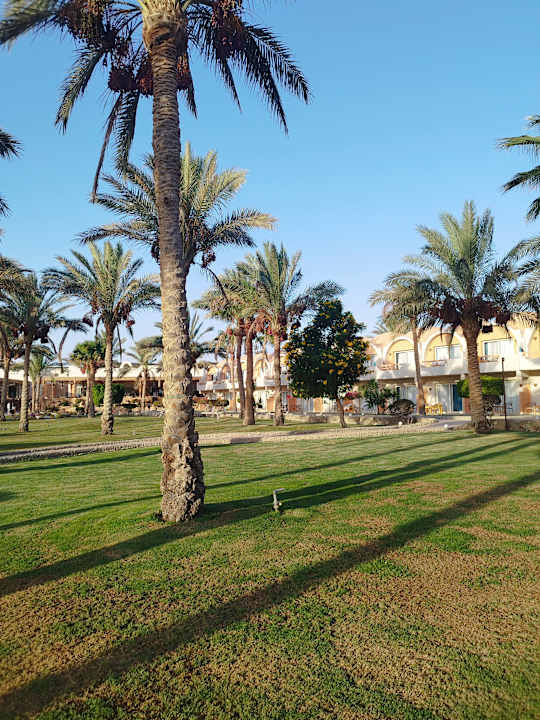 Gartenanlage Three Corners Sea Beach Resort