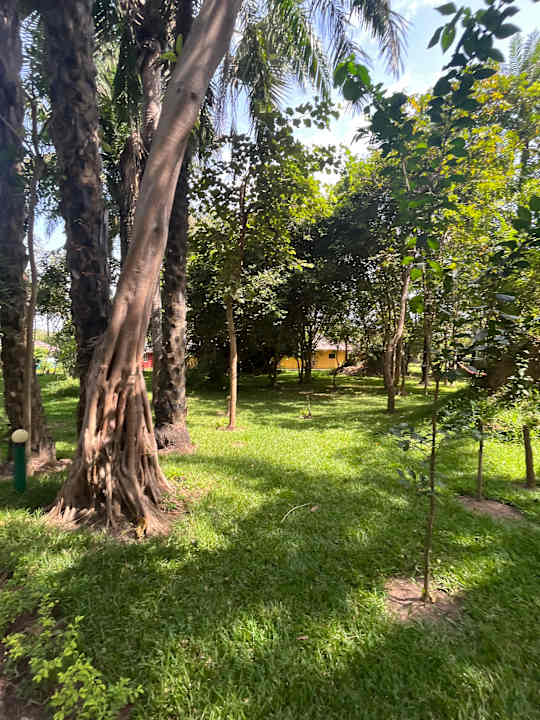 Gartenanlage AbCa's Creek Lodge