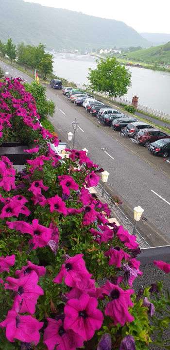 Ausblick Weinhaus Fuhrmann