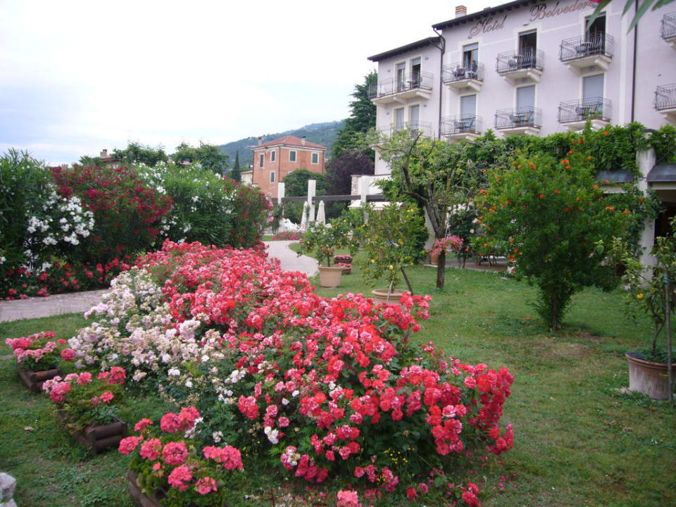 Hotel Belvedere Hotel Belvedere