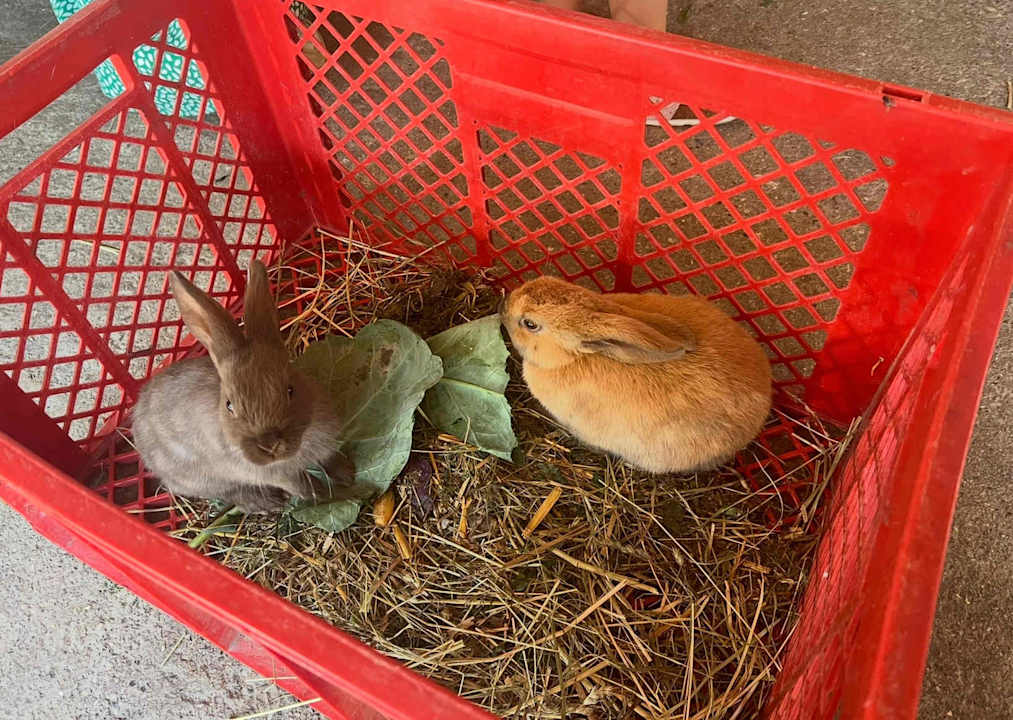 Sport & Freizeit Alpenhotel Kindl