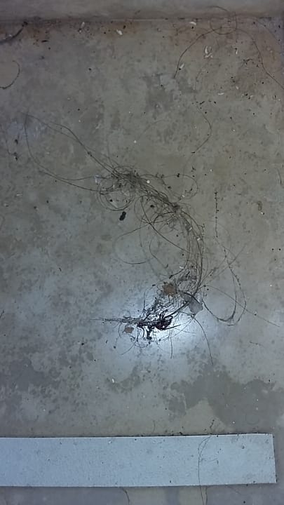 Zimmer Grecotel LUXME Kos