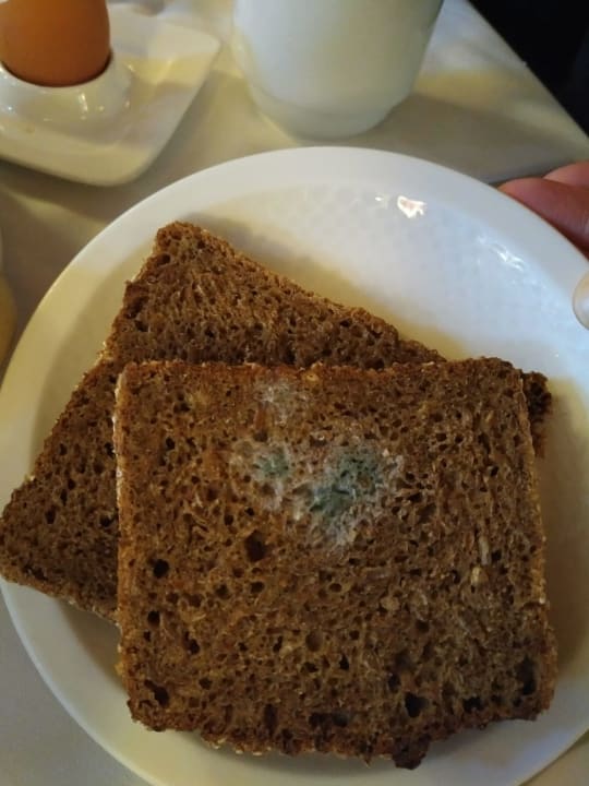 Gastro Hotel Alphof Alpbach