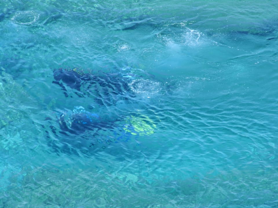 Widok na plażę  Peninsula Resort & Spa