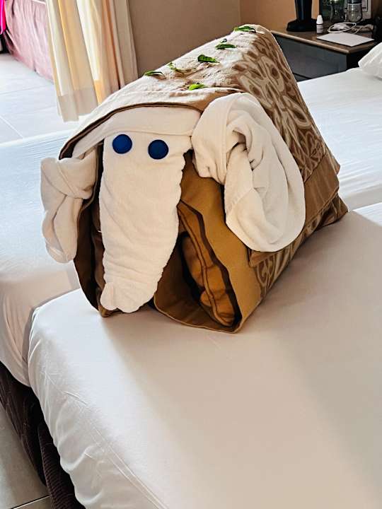 Zimmer Jaz Dar EL Madina