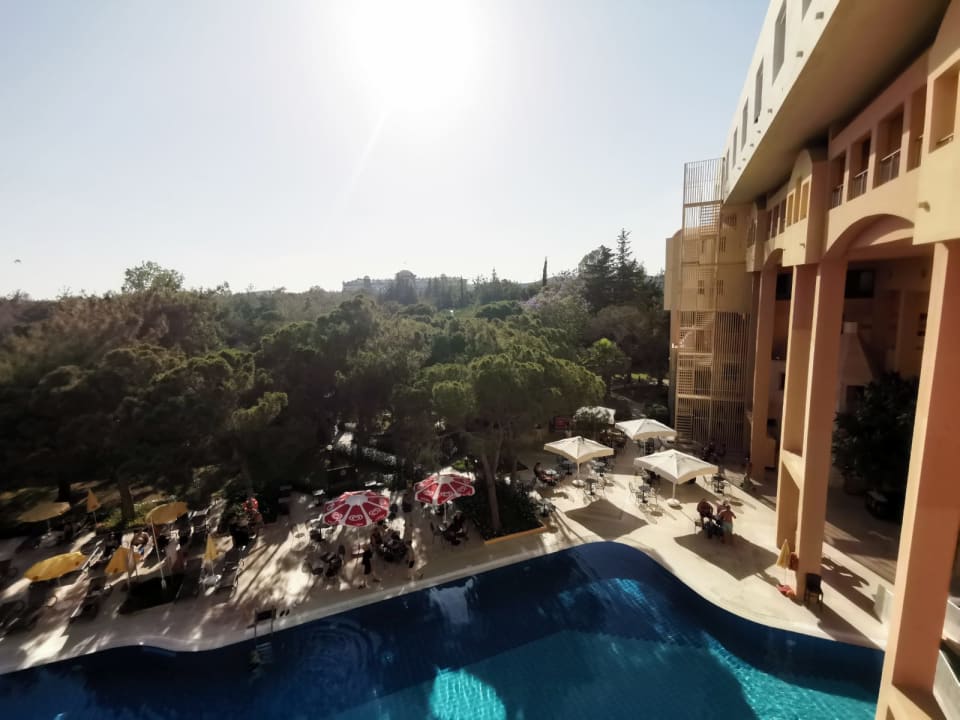 Pool Asteria Collection Side