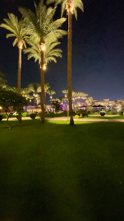 Außenansicht Beach Albatros Resort