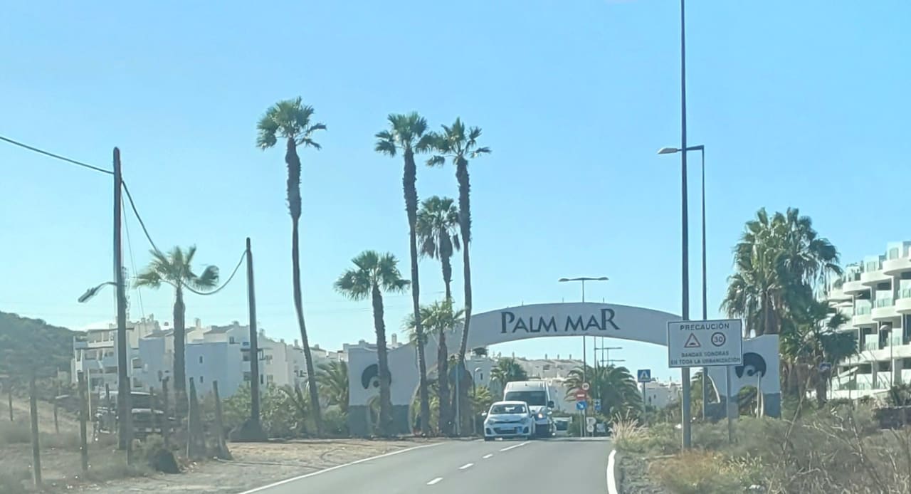 Lobby Elegant Palm Mar Apartment