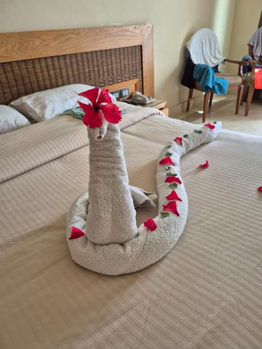 Zimmer The Grand Palace - Adults only