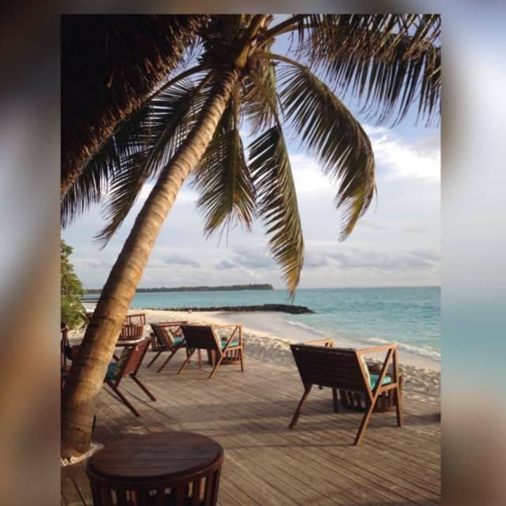 Nevi-Bar Summer Island Maldives