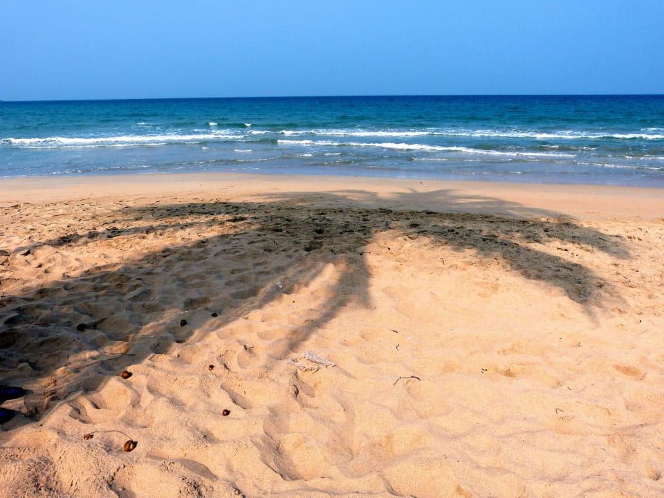 Schattenpalme Hotel Coral Bay