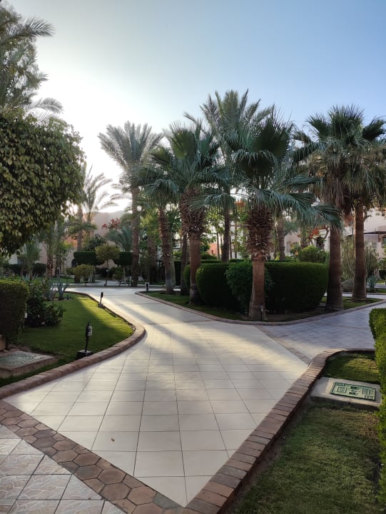 Gartenanlage Jaz Makadi Oasis Resort