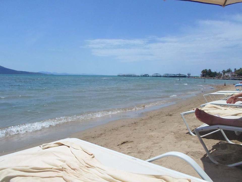 Plaża Asteria Venus Didim