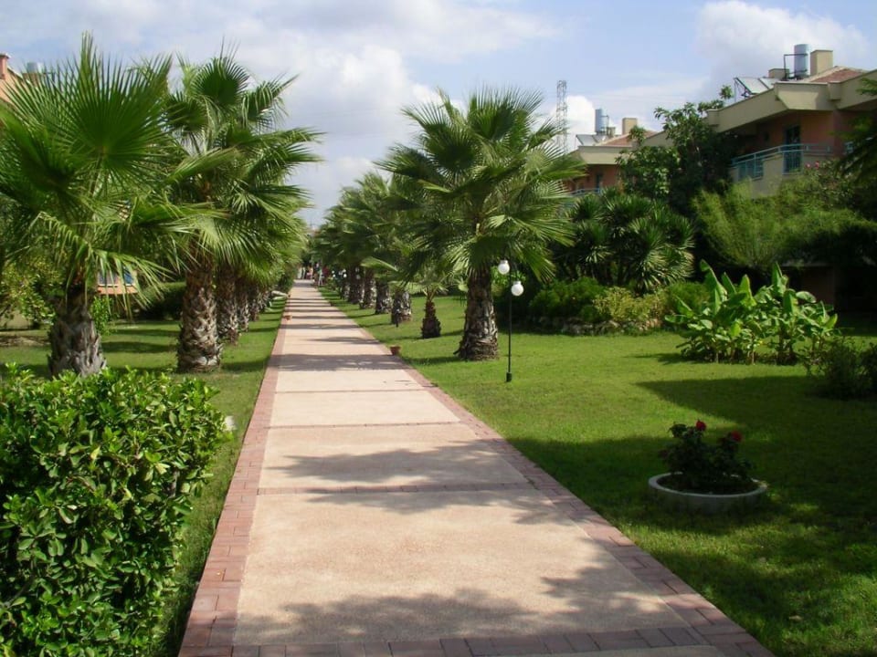 Außenanlage Dream Family Club