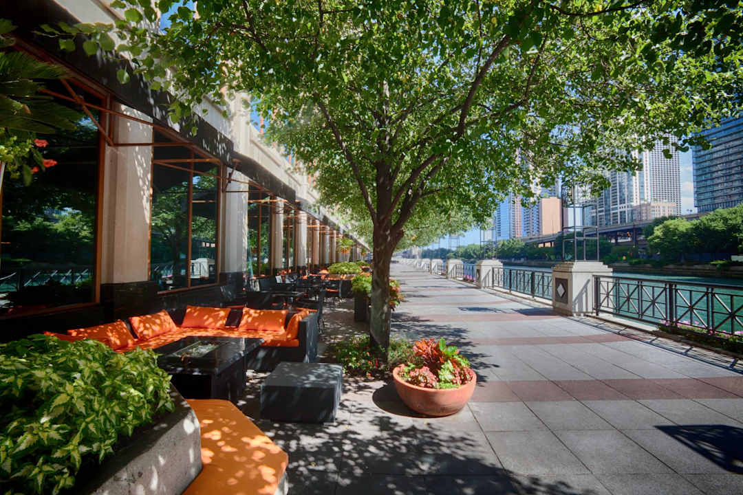 Chicago Burger Company Lounge Sheraton Grand Chicago