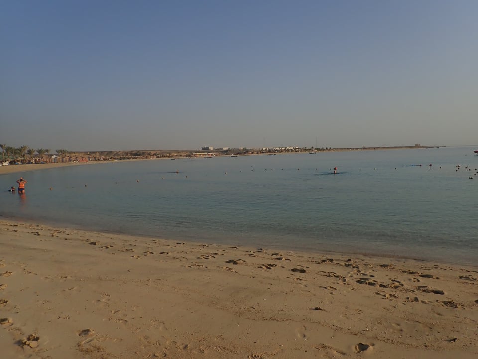 Morgens schön leer Malikia Resort Abu Dabbab