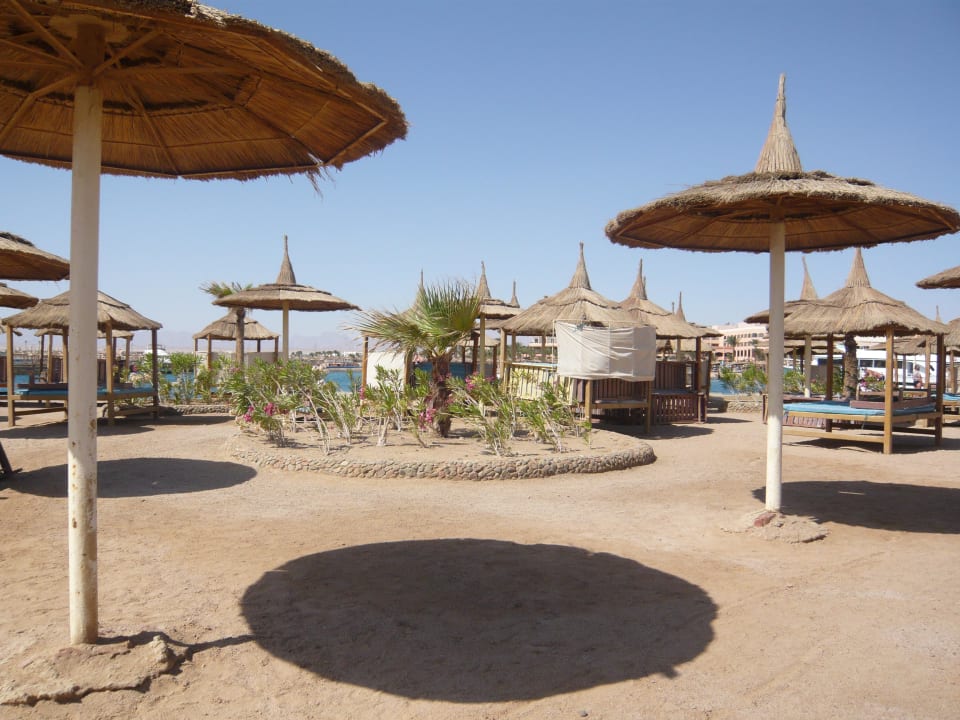Widok z plaży Pickalbatros Aqua Park Resort - Hurghada