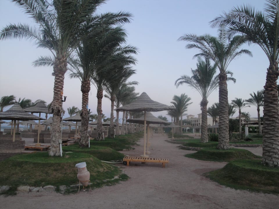 Plaża Pickalbatros Royal Moderna Resort-Sharm El Sheikh
