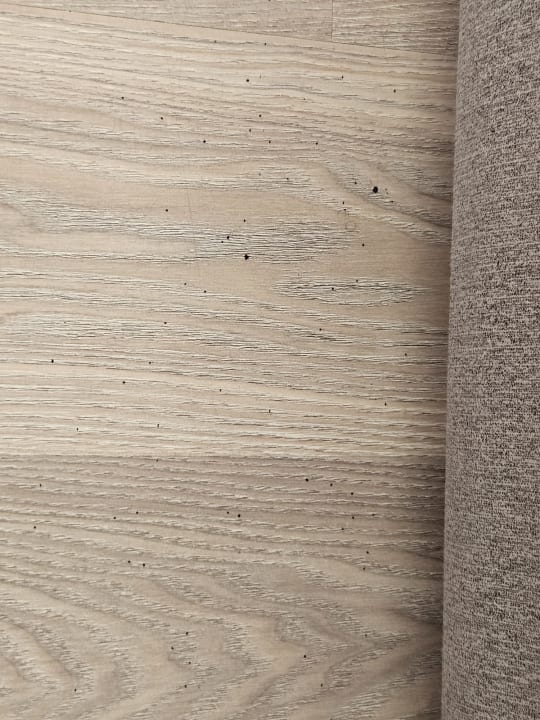 Zimmer Well Palace Side