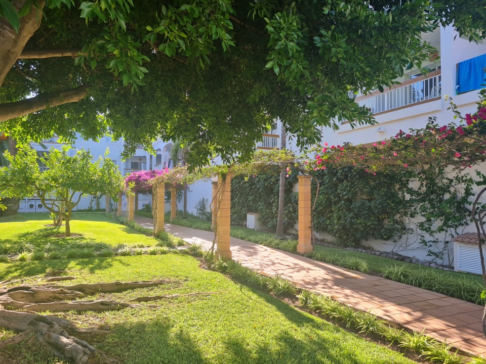 Gartenanlage Alcudia Garden Aparthotel