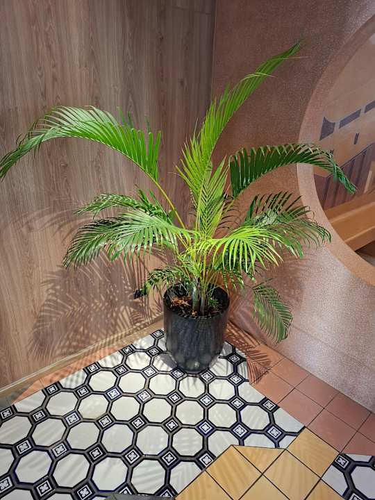 Lobby ASAI Bangkok Chinatown