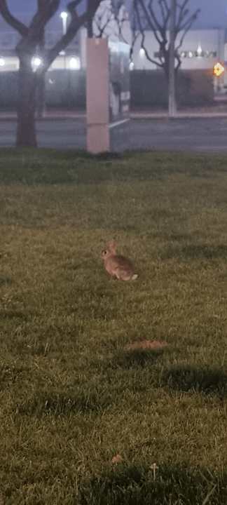 Außenansicht Hyatt Place LAX/Century BLVD