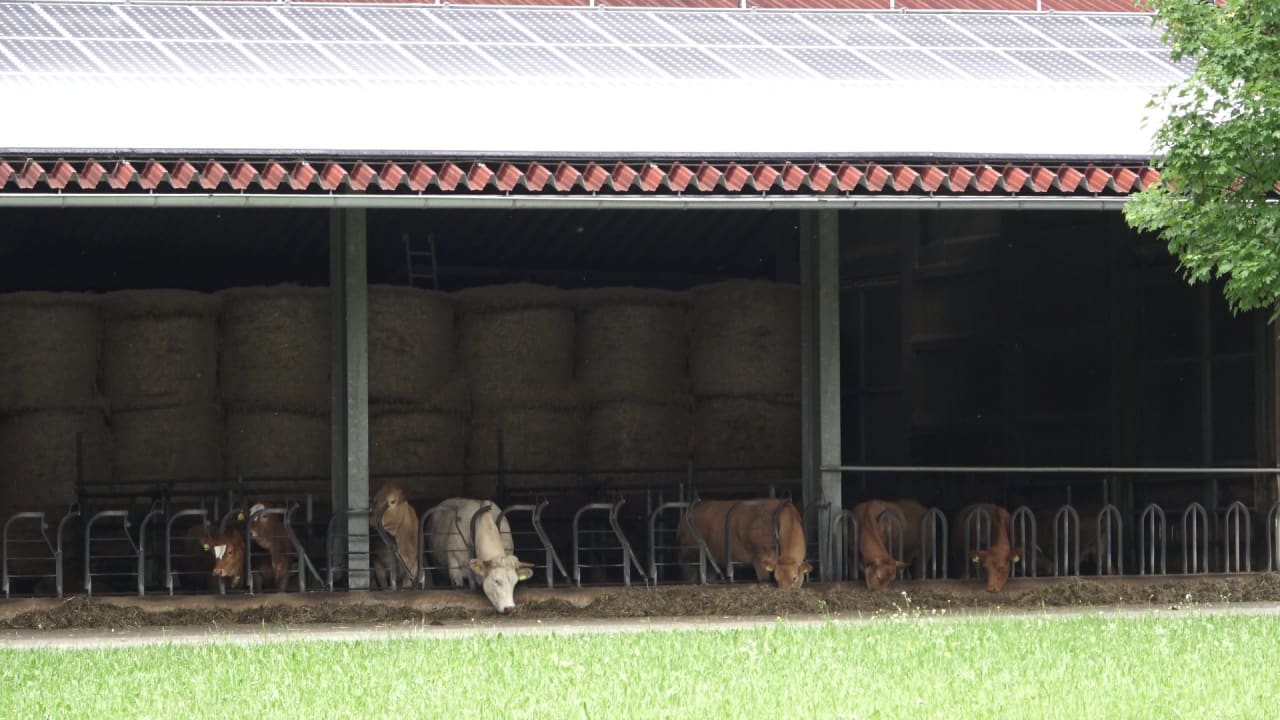 Außenansicht Stahlecker Hof