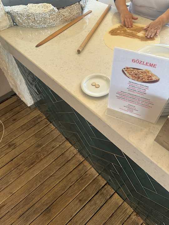 Gastro Seashell Vega