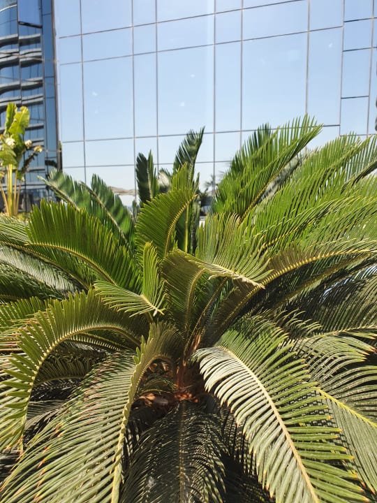 Sonstiges Al Bandar Rotana - Creek