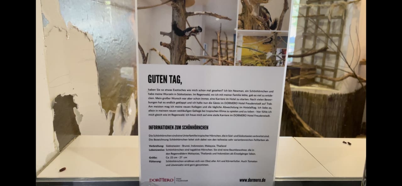 Lobby DORMERO Hotel Freudenstadt