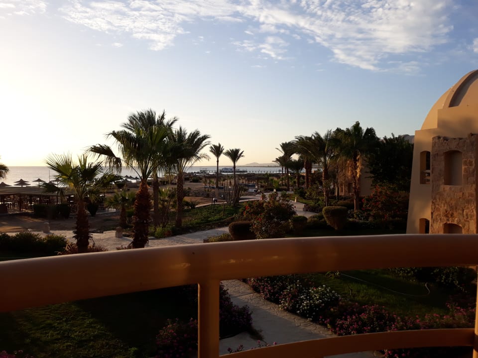 Ausblick Shams Alam Beach Resort