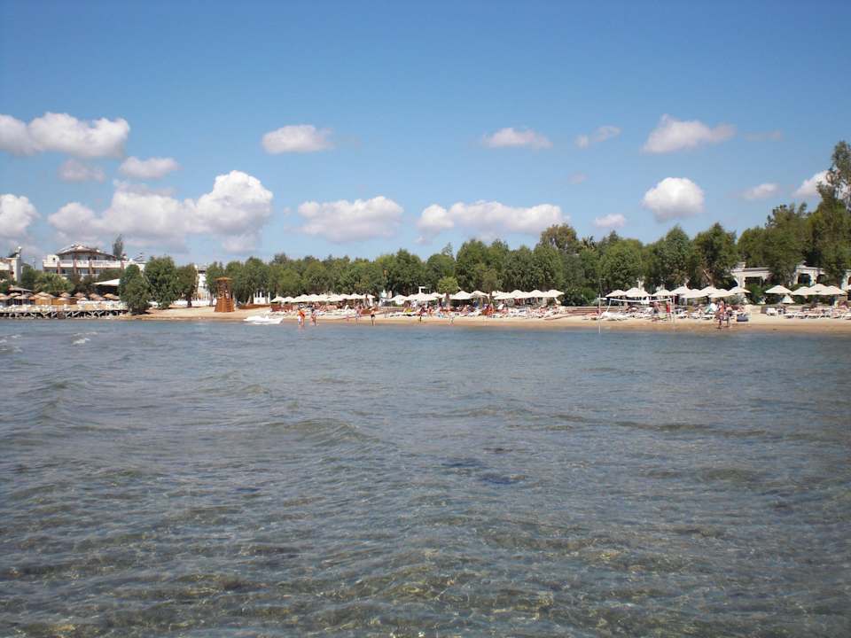 Traumhaft Asteria Venus Didim