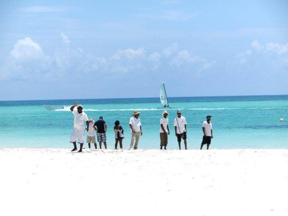 Traumstrand Dreams Royal Beach Punta Cana