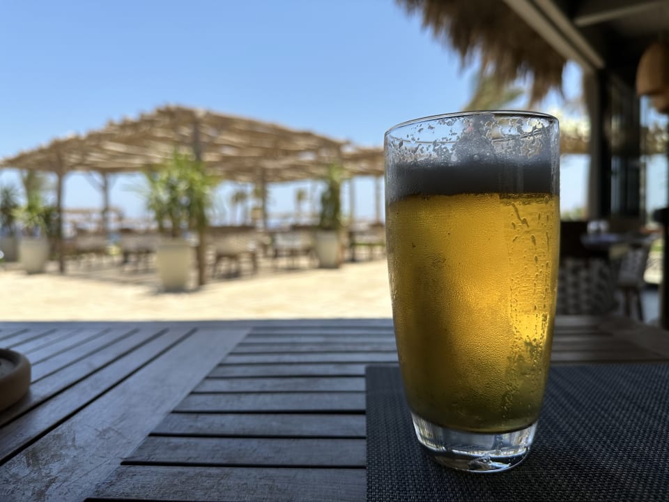Gastro Steigenberger Resort Alaya Marsa Alam - Red Sea - Adults only