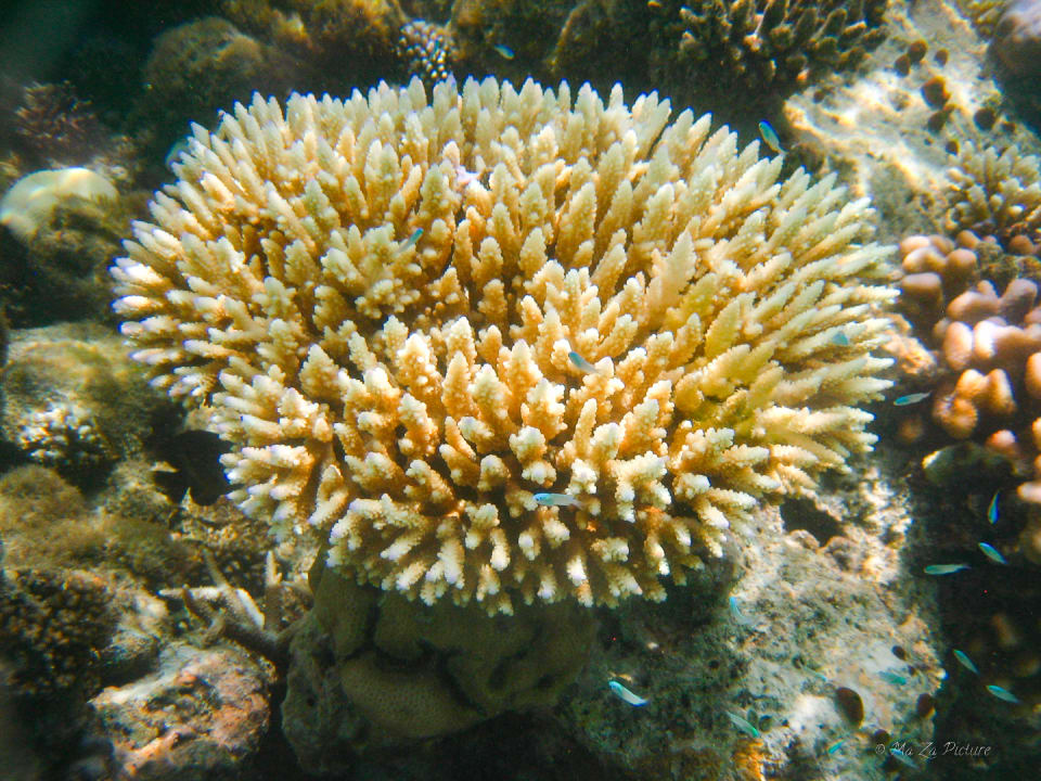 Sport & Freizeit Summer Island Maldives