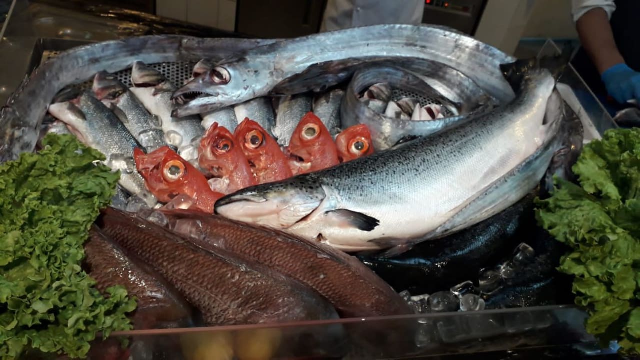 Gastro H10 Tindaya