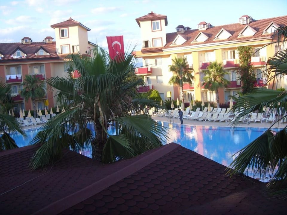 Poolblick Hotel Orfeus Park