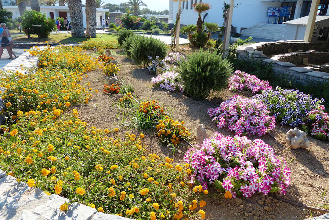 Blumenbeet Civitel Creta Beach