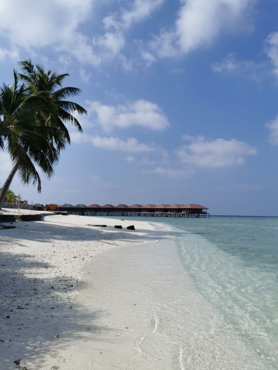 Strand Filitheyo Island Resort