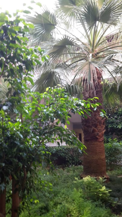 Gartenanlage im Nebengebäude Sunis Elita Beach Resort & Spa