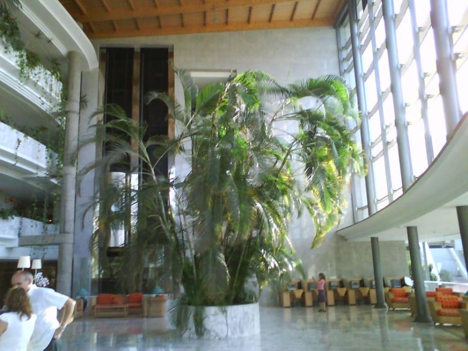 Lobby Tabaiba Princess