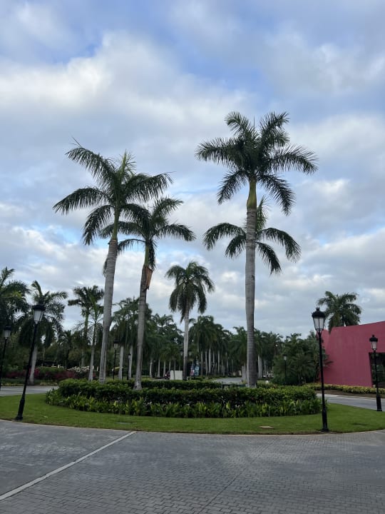 Gartenanlage Iberostar Selection Paraiso Lindo