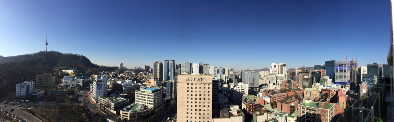Skyline ibis Styles Hotel Ambassador Seoul Myeong-dong