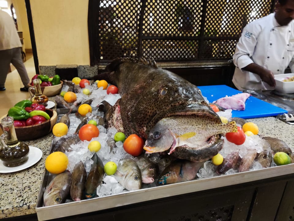 Gastro Hotel JAZ Makadi Star & Spa