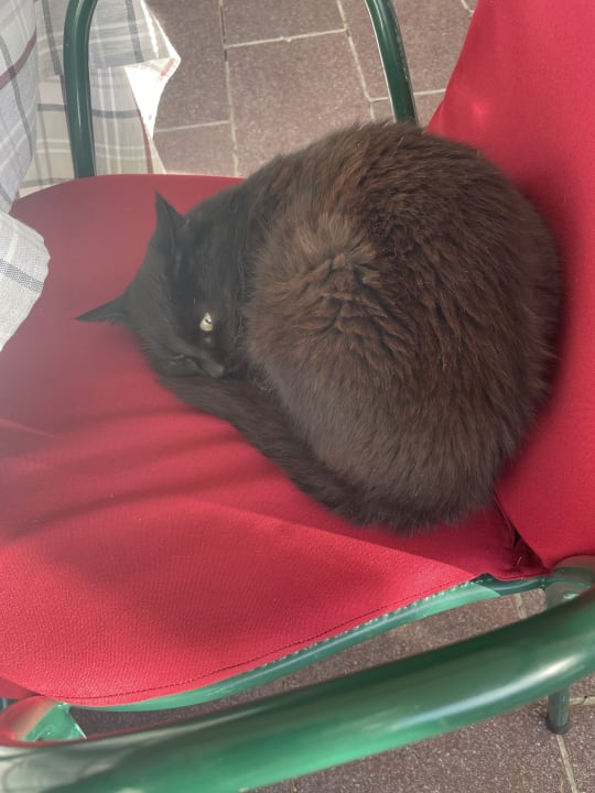 Sonstiges Berghotel zum Zirm