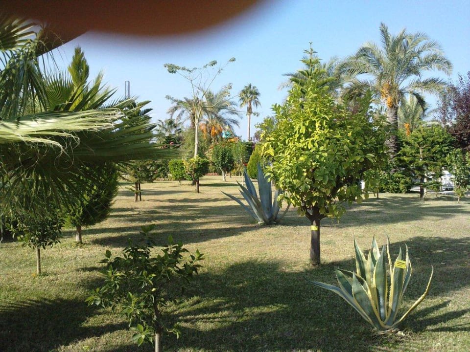 Schöne Gartenanlage Saphir Resort & Spa